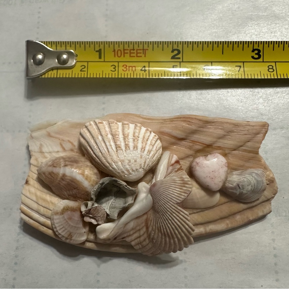 Sea Shell Brooch - Picture 3 of 5